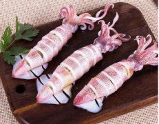 越南頭足類1月出口大幅增加45%，對中國加工魷魚出口增長最高！