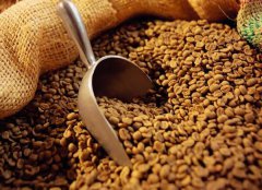 哥倫比亞咖啡豆進口報關(guān)清關(guān)代理服務(wù)【經(jīng)典案例】